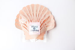 Mermaid Birthday Favor Bags and Stickers, Mermaid Under the Sea Birthday Decor, Mermaid Goodie Bags, Shell Favor Bags and Stickers